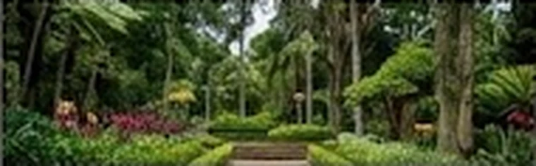 Senderos y palmas del Jardín Botánico de Medellín